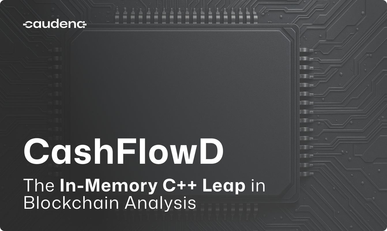 CashflowD: The In-Memory C++ Leap in Blockchain Analysis. Caudena